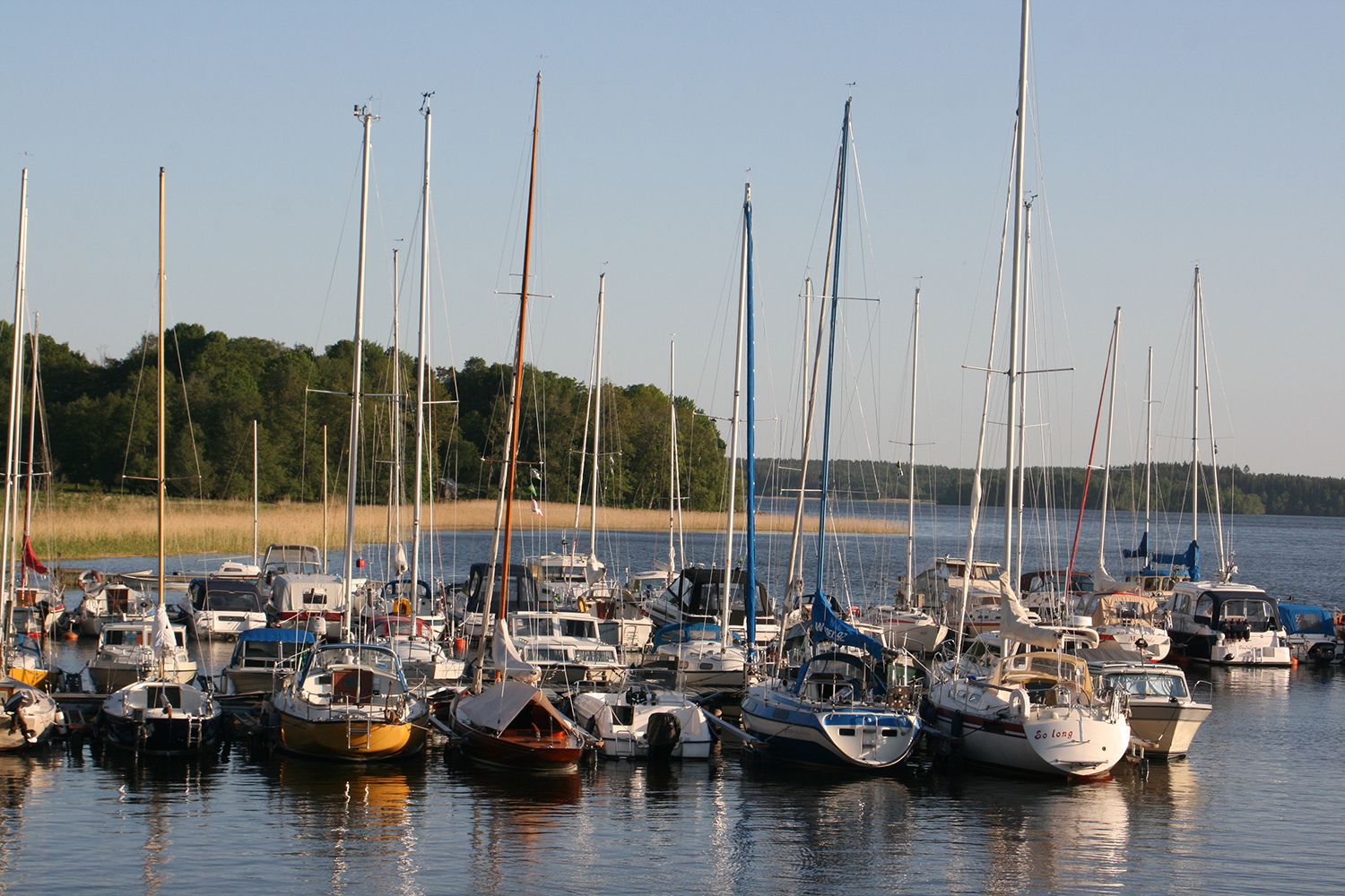 2014-06-Alexander-Stockholm-230