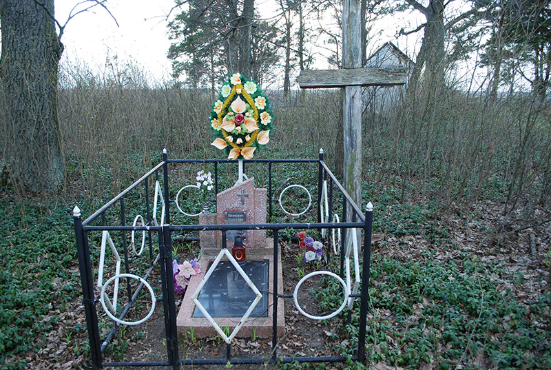 Naumowicz 2