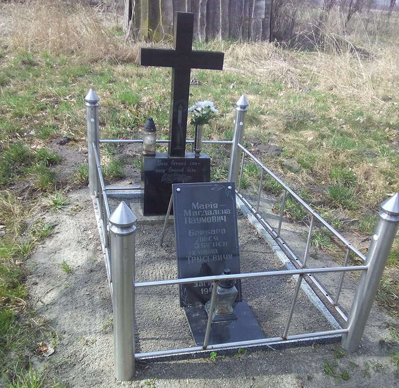 Naumowicz 6