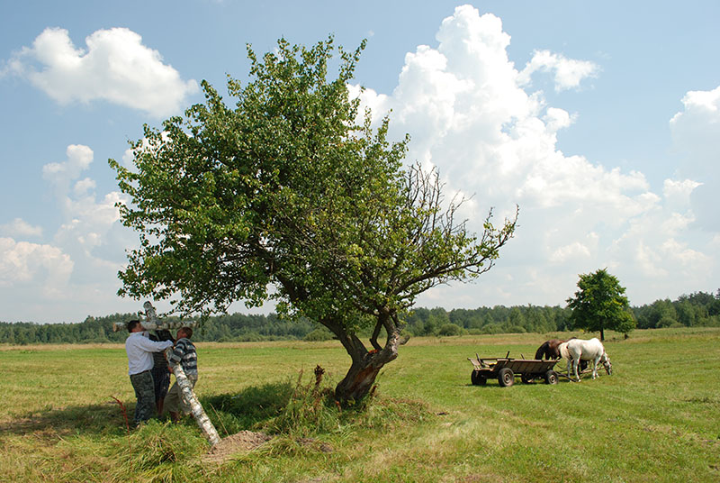 krzyze45 02