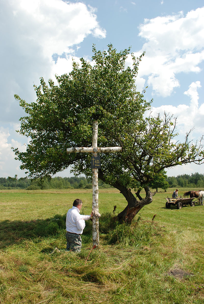 krzyze45 03