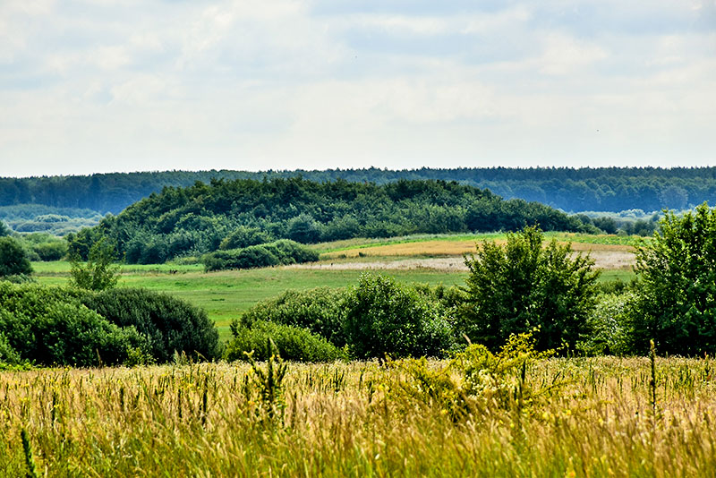 Osmirko 04