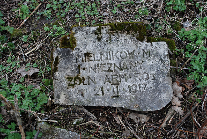 Antonowka 03