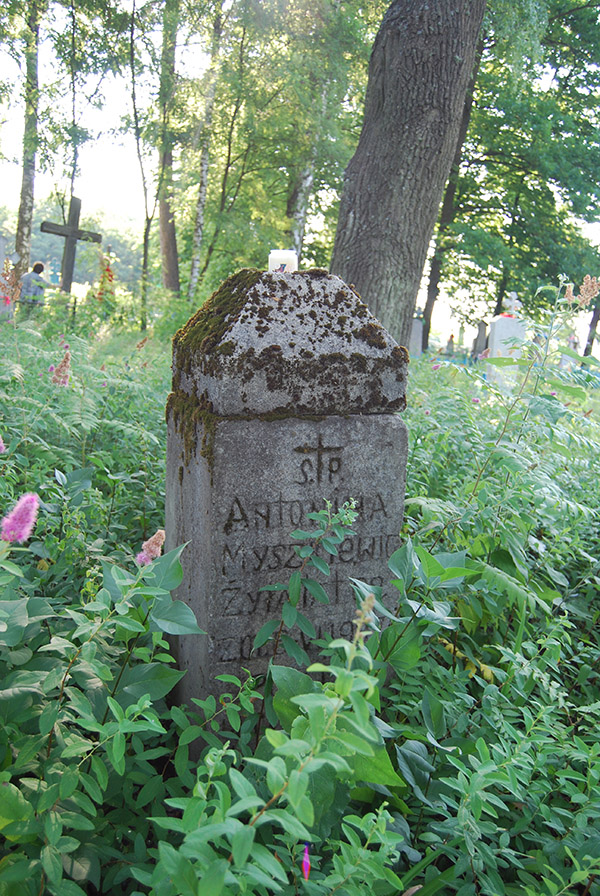 Antonowka 05