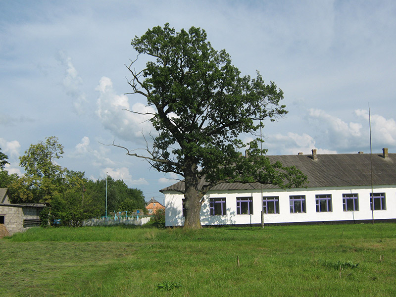 Huta 07
