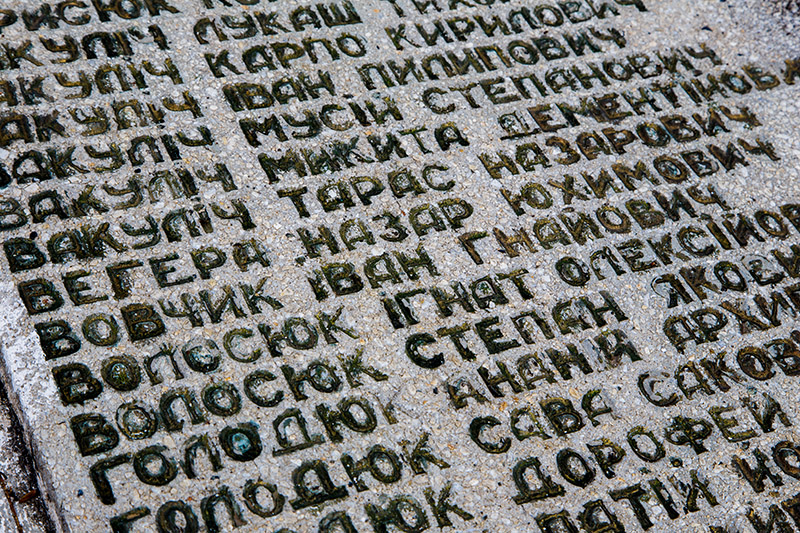 Vovczyk 04