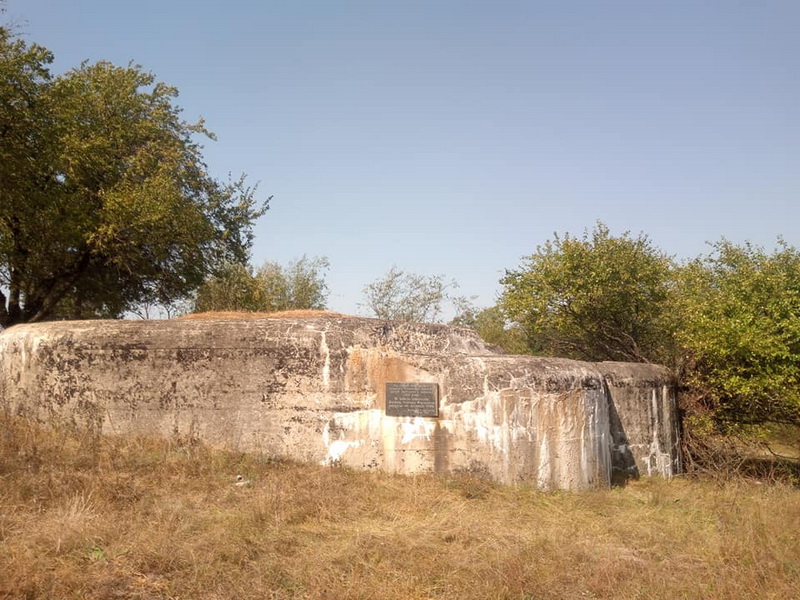 Tynne3