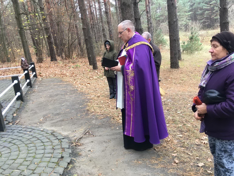sprzatanie Janowa Dolina 7