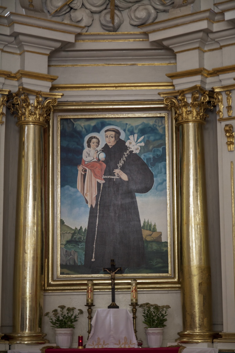 Antonio 16