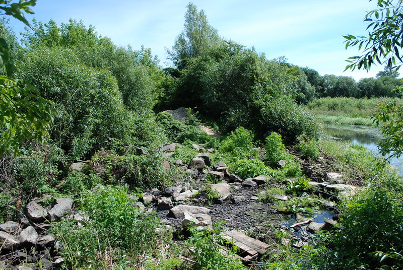 Horodziec 9