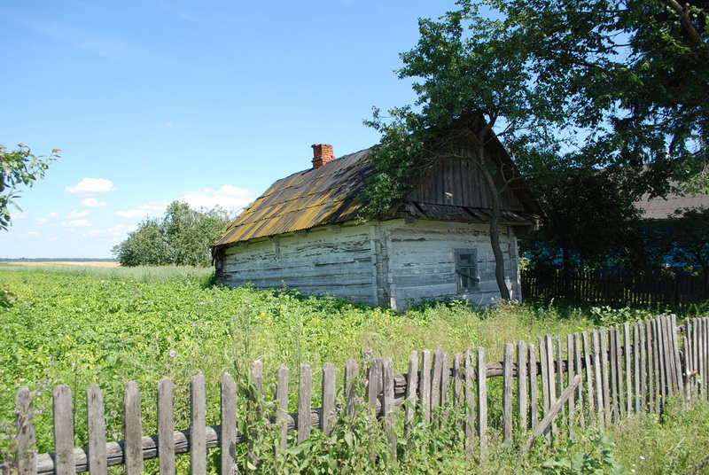 Horodziec 6