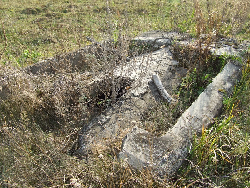 niewirkow 24