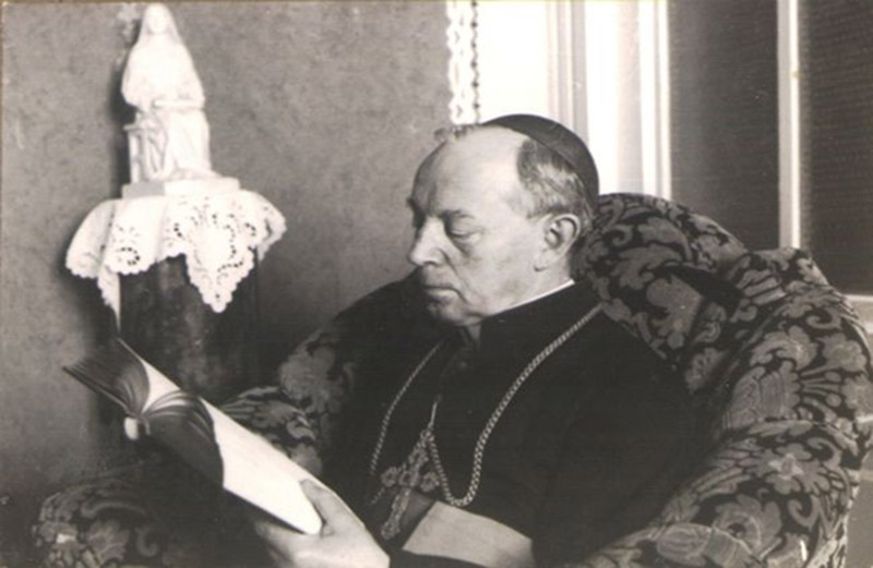 Szelazek 01