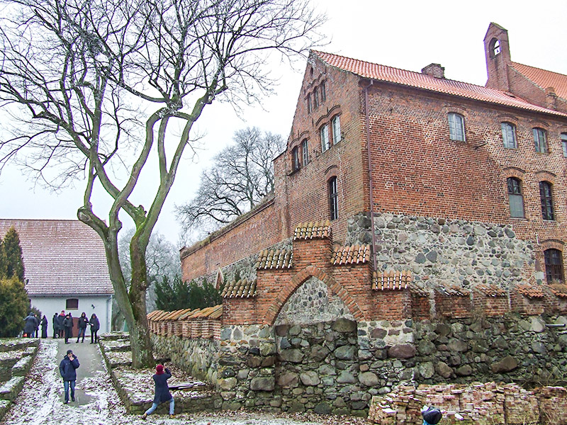 Szelazek 03