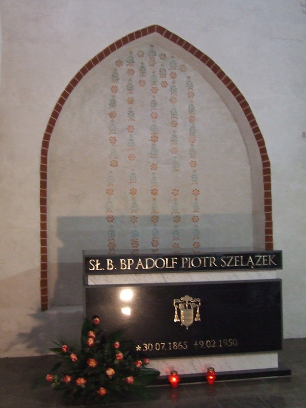 Szelazek 02