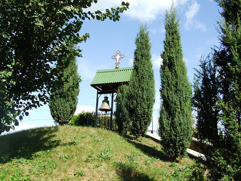 zydyczyn 25