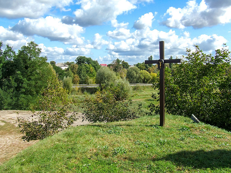 zydyczyn 26
