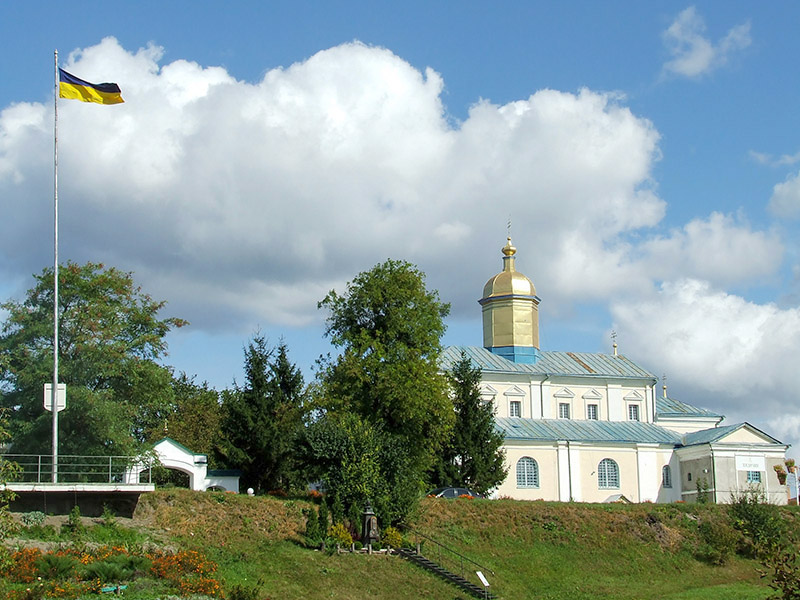 zydyczyn 27