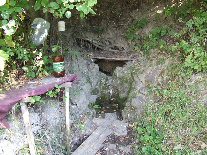 zydyczyn 28