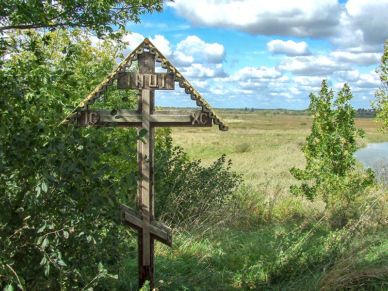 zydyczyn 29