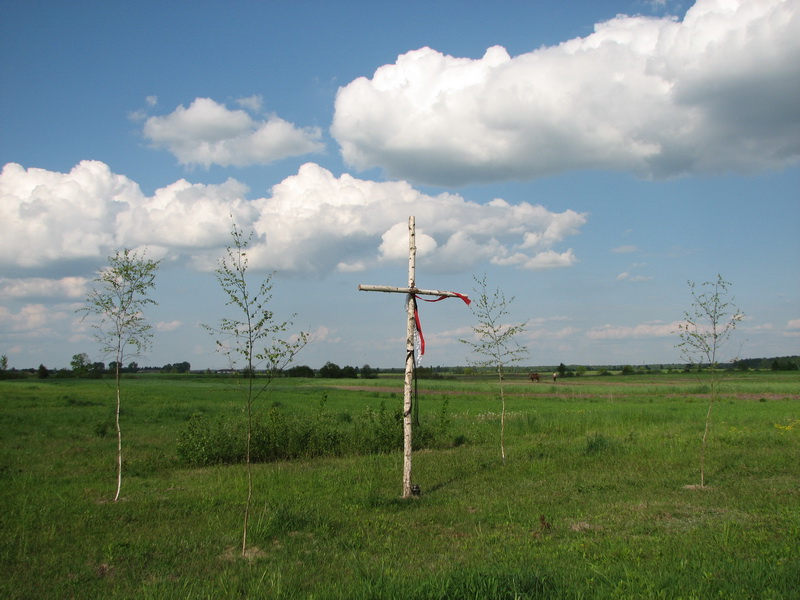 7 Krzyz Wyrka