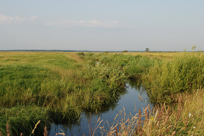 30 Huta 5