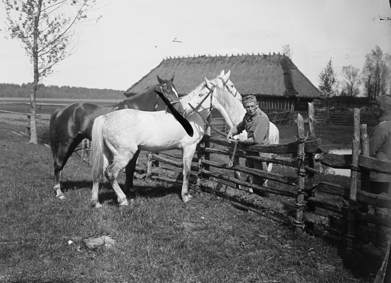 Janowski 14