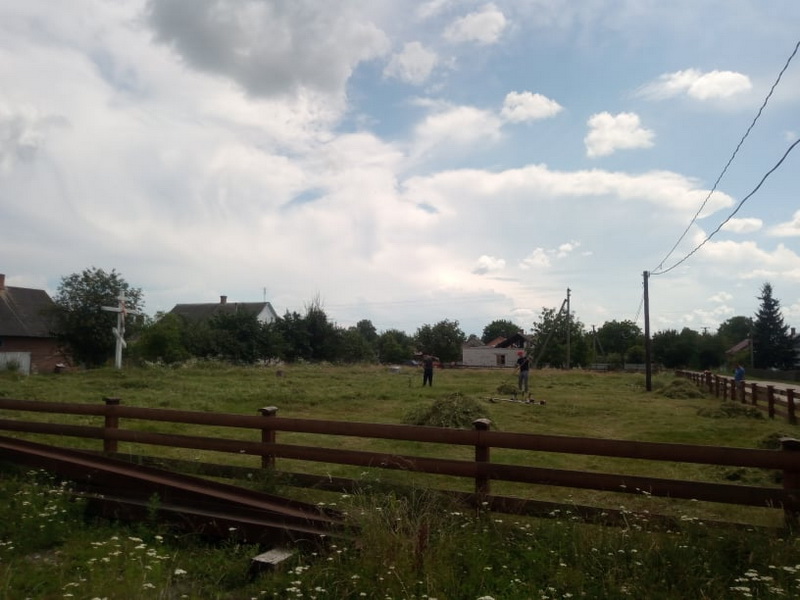 Kolki1