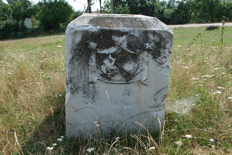 Kolki Fot.J.Horoszkiewicz