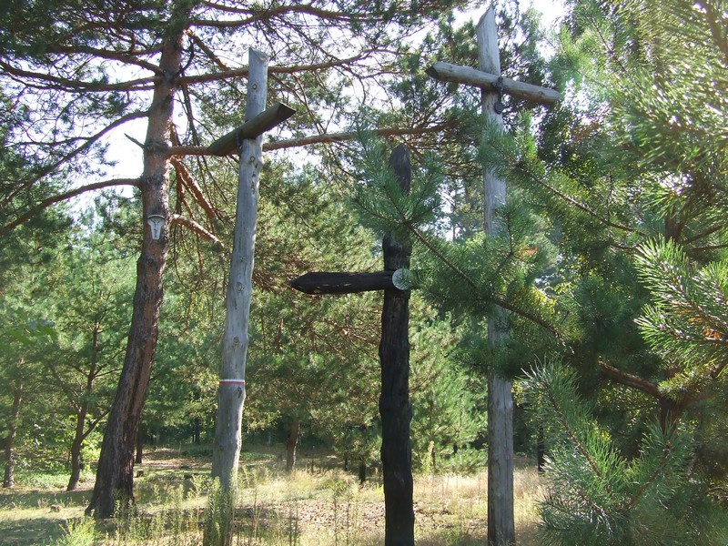 ostrowki 5