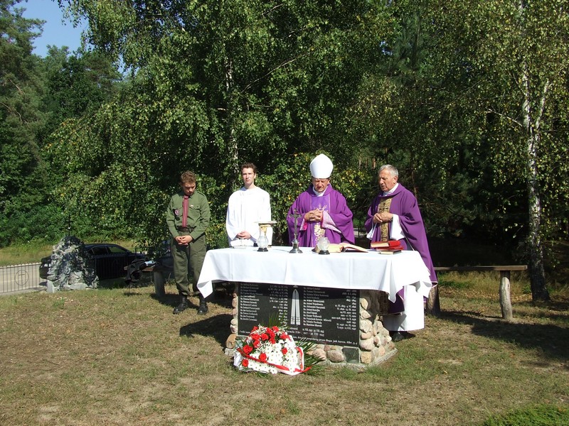 ostrowki 8