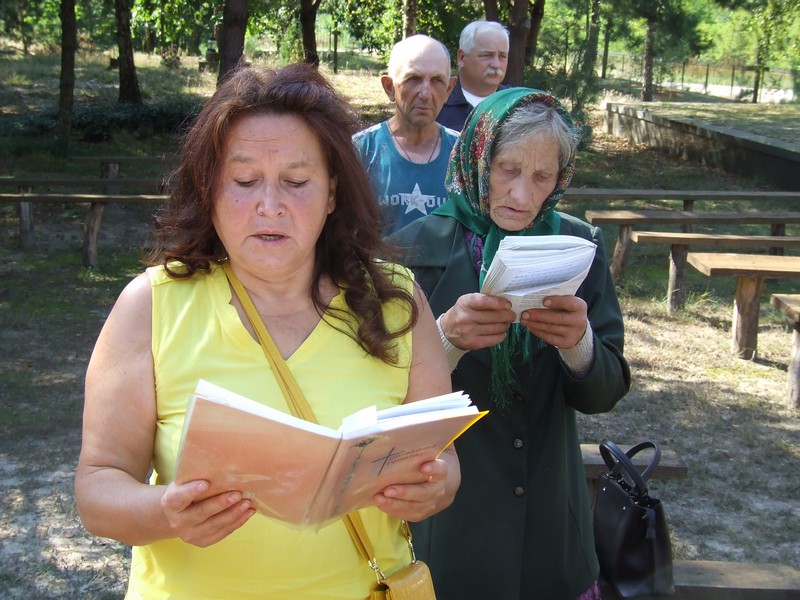 ostrowki 14