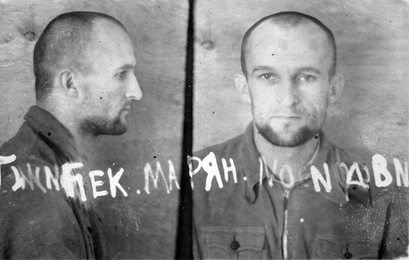 Grzybek 1