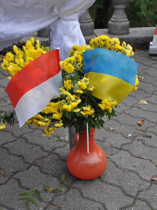 Kosciuszki szkola 9