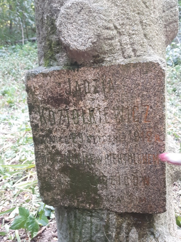 odnaleziona mogila Koziolkiewicz