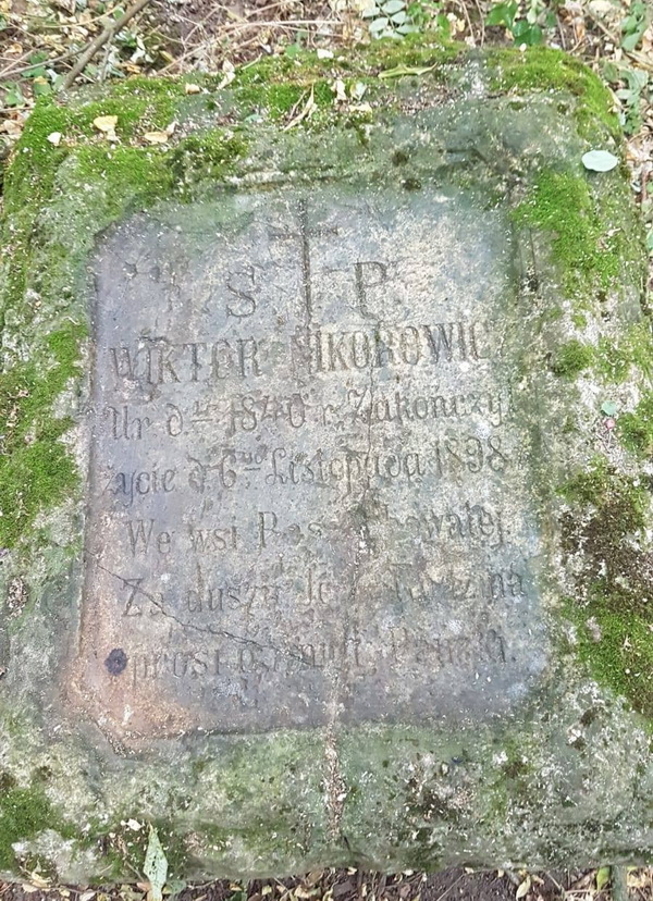 odnaleziona mogila Nikorowicz2