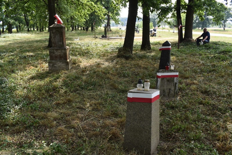 Wolanie projekt 12