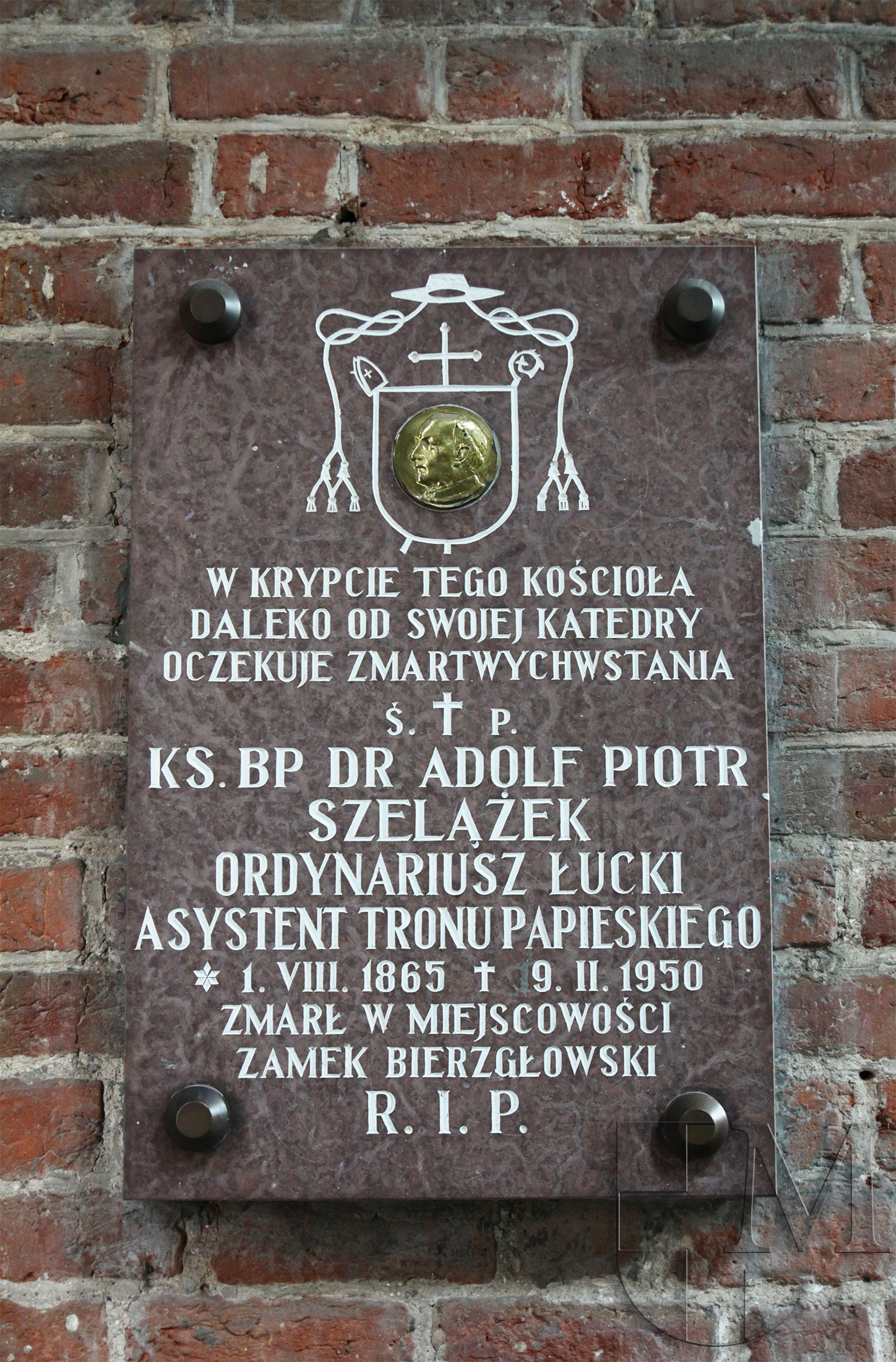 szelazekk_9.jpg