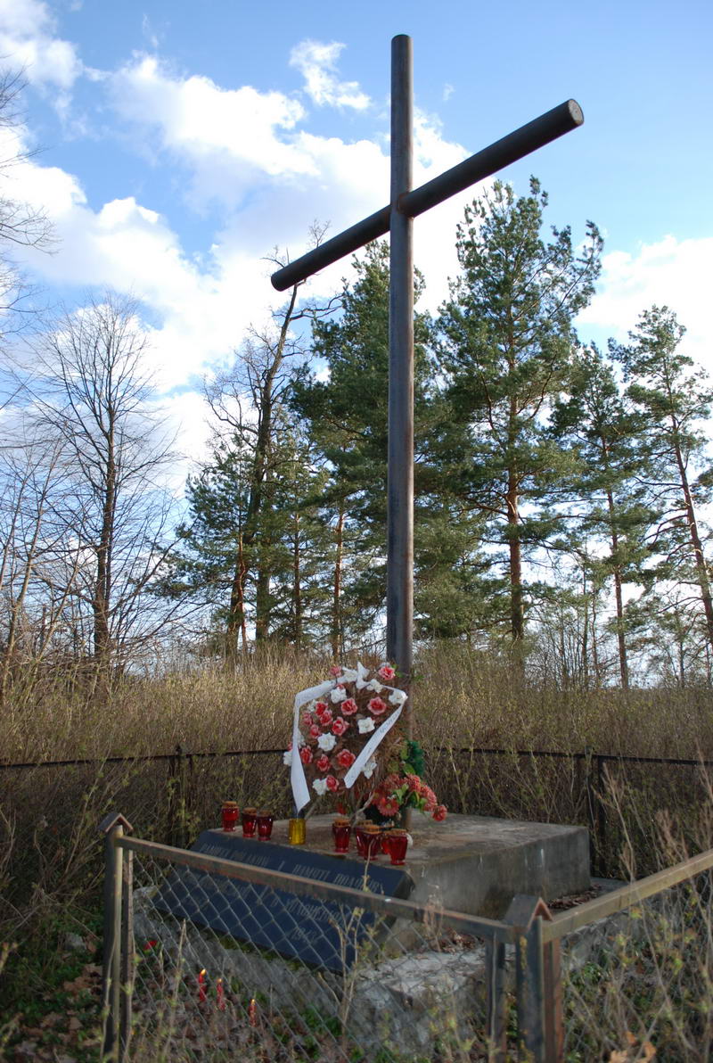 1. Cmentarz w Chołoniewiczach. W 1998 r. nekropolię oczyszczono, ogrodzono i wzniesiono obelisk zwieńczony krzyżem. Dziś na nowo zarósł, a ogrodzenie potrzebuje naprawy.