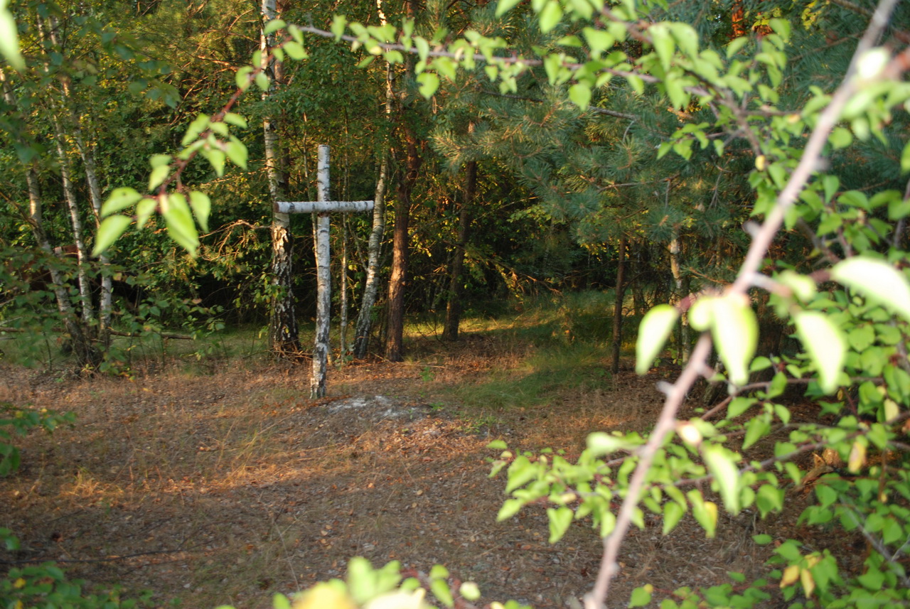 6. GPS-координати хреста: 51°07'309