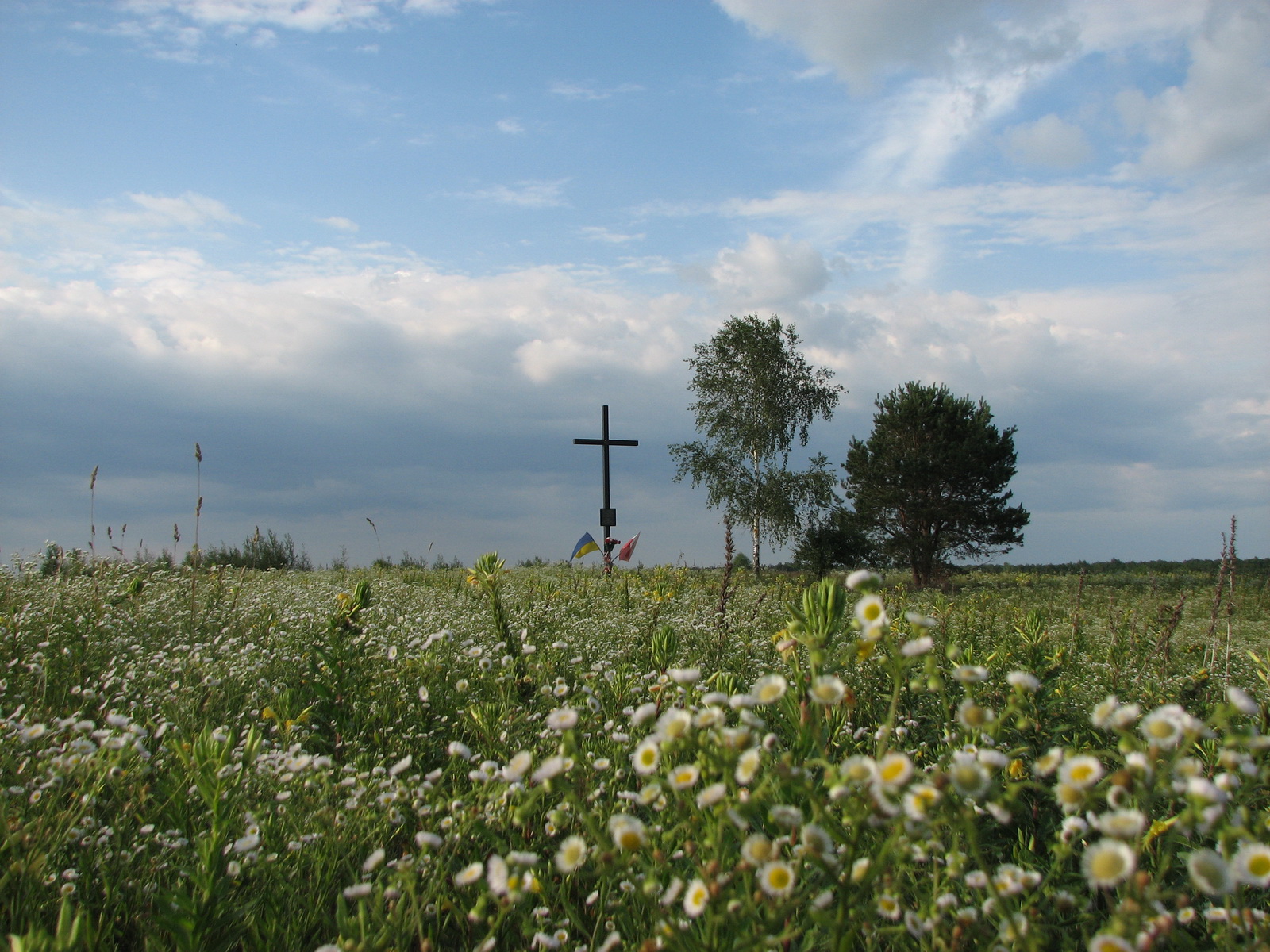7. Krzyż na Kamiennej Górze w Kamionce Starej.