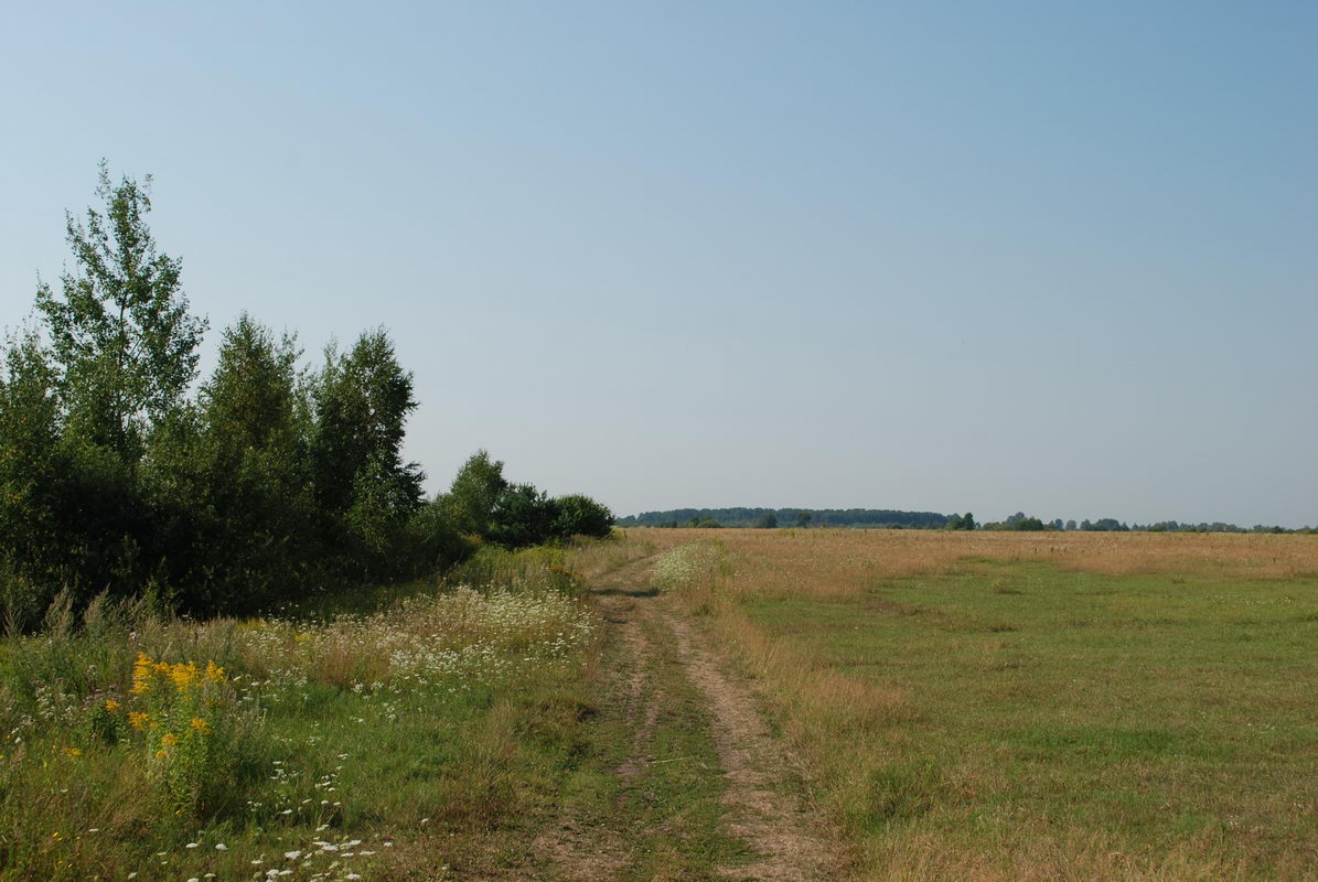 2. На місці колонії Козлє простяглися поля.
