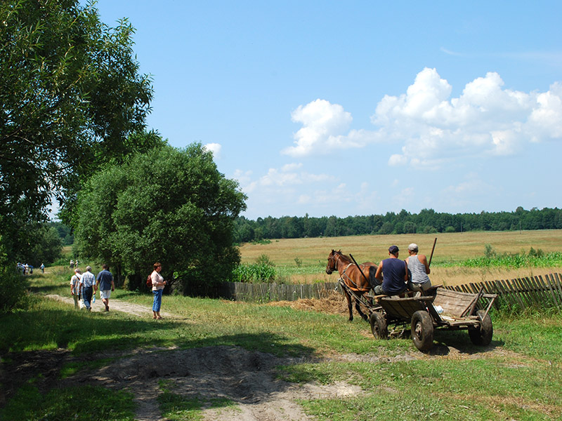 2. Tą drogą uciekali o świcie 18 lipca 1943 r. ludzie z Huty Stepańskiej.