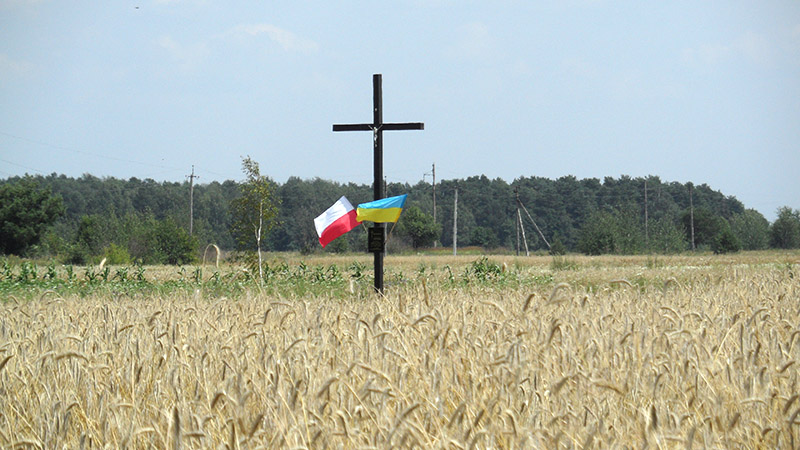 8. На цьому фото за хрестом – ліс біля Бутейок.