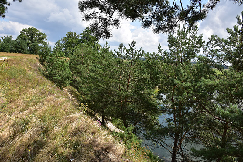 11. Пагорб на березі Горині.