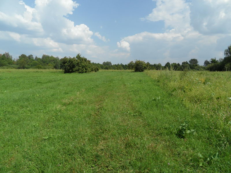 1. Тут була колонія Мельникове.