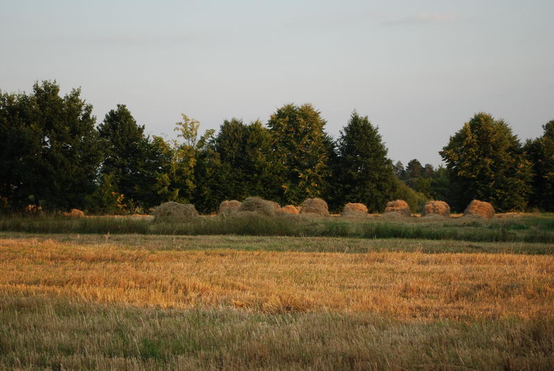 2. Teren Mielnikowa.