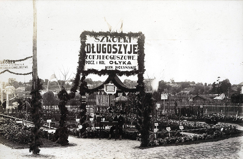 8. Szkółki drzew owocowych p. Z. Boguszowej z Długoszyj pow. Łucki