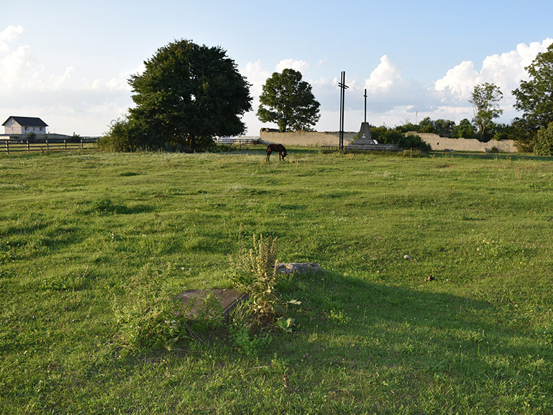 1. Cmentarz w Stepaniu.